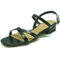 Sandal shoe